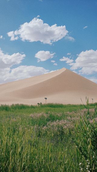 8日7晚 • 「飛天絲路」莫高窟＋嘉峪關＋鳴沙山月牙泉＋張掖七彩丹霞＋蘭州黃河風情八日