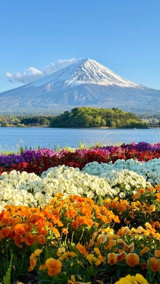3天2晚 • 日本河口湖＋富士山＋箱根＋鎌倉市