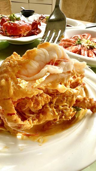 7D6N • Cebu Whale Shark Swimming + Sardine Run + Bohol Dolphin Watching + Sea Turtle Encounter + Virgin Island + Chocolate Hills + Tarsier Viewing