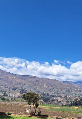 2D1N • Colca Canyon Plus