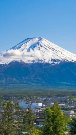 8D7N • Tokyo & Mount Fuji Tour: Airport Transfers + Full Stay at Downtown Tokyo Hotels + 2 Days of Free Time + Tokyo Disney + Hakone + Odawara