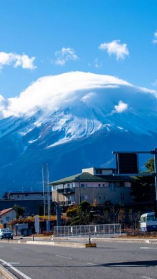 7D6N • Tokyo: 7-Day Tour with Optional Sendai or Izu Day Trip