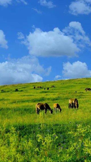 6D5N • Hulunbuir + Ergun + Manzhouli · This winter attack the snow-covered grasslands of Hulunbuir. 