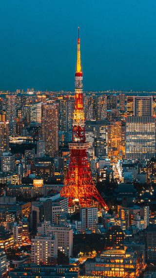 3天2晚 • 東京・富士山・箱根・伊豆・鎌倉市｜山景海景溫泉雙重奏，暢享日本名湯之旅
