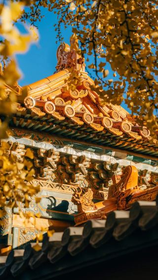 5D4N • 12-person Group · Pure Tour, No Shopping · No Optional Expenses · Stay at Huazhu Group Hotels · 6 Dinners Included · The Palace Museum + Badaling Great Wall + Summer Palace + Temple of Heaven Park