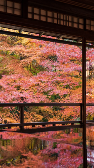7D6N • Japan + Osaka + Kyoto + Tokyo + Mount Fuji + Kamakura City + Yokohama