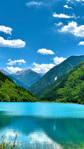 6日5晚 • 「川渝九寨」重慶＋成都＋九寨溝＋黃龍，特別安排乘坐動車往返，5鑽酒店