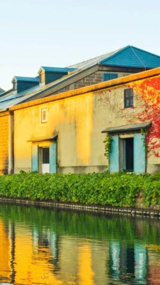 8D7N • Hokkaido Autumn Foliage Discovery: Furano Vineyard Experience + Lake Toya Onsen + Otaru Canal + Sapporo Maple Highlights