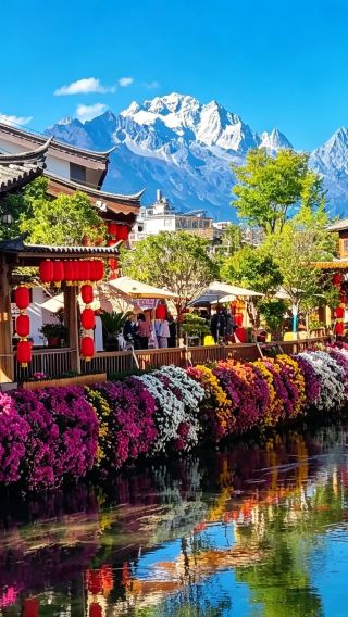 6D5N • Kunming + Dali + Lijiang: Complimentary Bai tie-dye handmade experience - Stone Forest + Erhai Lake S-Bend + The Dream Land + Shuanglang Ancient Town + Yulong Snow Mountain + Blue Moon Valley