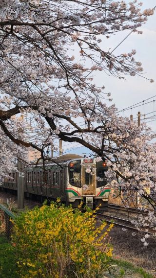 7D6N • Sendai - Miyagi - Yamagata Prefecture -  Iwate Prefecture - Yamagata Prefecture - Miyagi