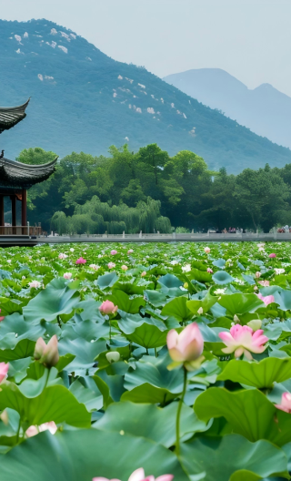 2D1N • China + Hangzhou + West Lake + Lingyin Temple + Longjing Village