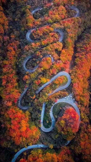 3天2晚 • 日本  東京 · 日光 · 高尾山楓葉之旅｜3日包車不併團｜伊呂波坂楓葉山路｜奧日光賞楓｜中禪寺湖遊船｜世界遺產二社一寺｜高尾山