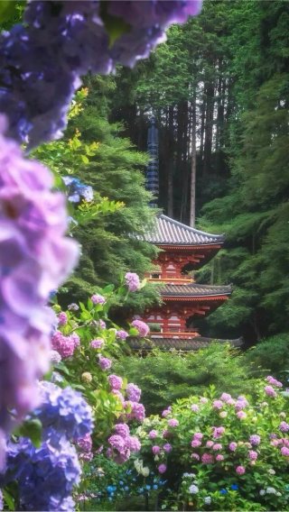 7D6N • Japan + Osaka + Kyoto + Tokyo + Mount Fuji + Kamakura CityJoin a no‑shopping, semi‑independent group tour, travel from Hakone to Odai with JR Shinkansen included, visit Kiyomizu‑dera and Nara, explore Rinno‑koen, Kariwa Lake, and Kamakura, and enjoy a free day in Osaka.