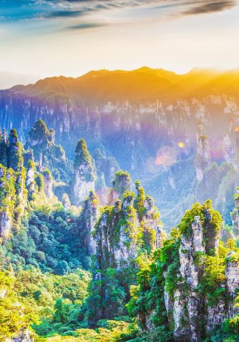 3D2N • Zhangjiajie's Iconic Trio + Golden Whip Stream: Avatar Peaks, Tianmen & Glass Bridge - Wild monkey hike, free drone, eSIM & Muslim-friendly