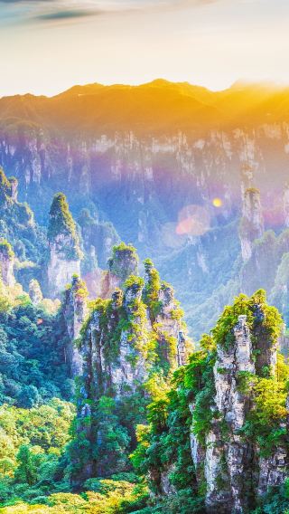 3D2N • Zhangjiajie's iconic trio + Golden Whip Stream: Avatar Peaks, Tianmen & Glass Bridge: wild monkey hike, free drone, eSIM & Muslim-friendly