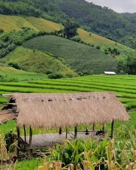 2D1N • 2 Day Jungle Trekking Adventure from Chiang Rai