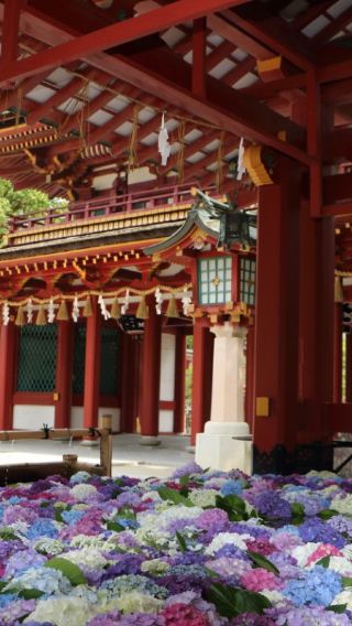 12D11N • Tokyo, Kyoto & Legends of Southern Japan