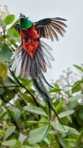 5D4N • Guatemala City: Semuc Champey, Copan, Quirigua & Rio Dulce