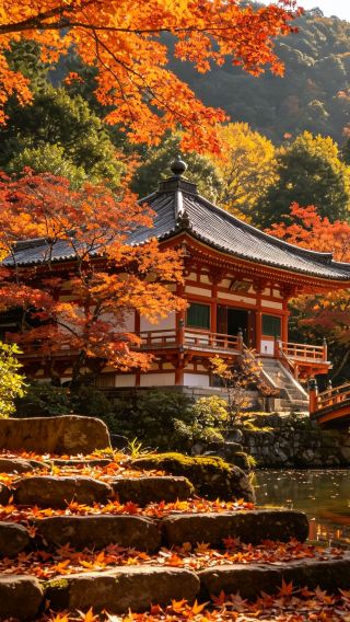 2D1N • Nara & Kyoto Classic: Deer Park, Fushimi Inari & Arashiyama Bamboo