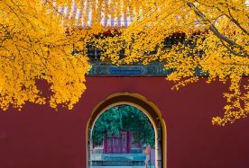 4D3N · Group Tours · Stroll through the imperial city in autumn·savor authentic Beijing-style cuisine·early-bird access to the international-brand Hilton Garden Inn near the 2nd Ring Road