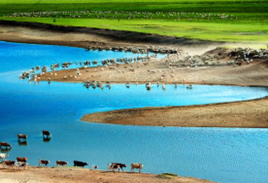 9D8N · Private Tours · Beijing + Chifeng + Yulong Sand Lake + Ulan Butong Guoju Campground · Watch the grand outdoor live performance "The Grand Dynasty,The Kangxi Ceremony", dress in traditional Mongolian attire, learn archery, taste unique dairy delicacies.