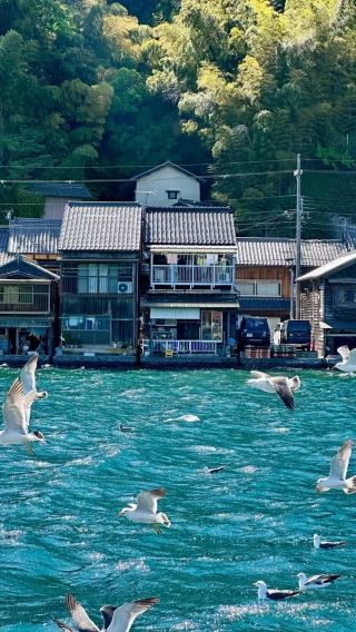 6天5晚 • 日本大阪+神戶+淡路島+京都·大阪出發