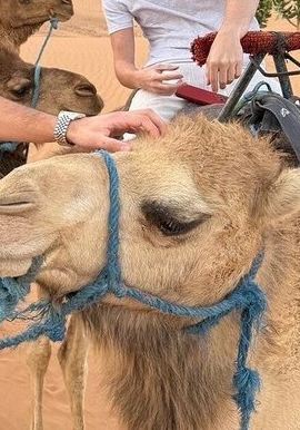 2D1N • 2Days 1Night to Merzouga Desert from Marrakech & back or to Fez