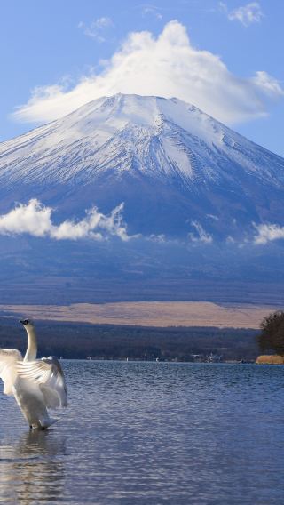 6D5N • Japan Tokyo, Yokohama and Mount Fuji Journey: Lake Kawaguchi, Fuji Panoramic Ropeway, Tokyo Free Day, Kimono Experience and City Highlights