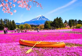 2D1N · Group Tours · Mount Fuji & Owakudani, Hakone & Kamakura 2-Day Tour (Small Group of up to 9 People, Accommodation Not Included) Includes Hotel Pick-up and Drop-off · Limited-Time Offer | Click to contact customer service and get an instant 2% discount
Hakone Shrine, Owakudani, Lake Yamanaka Swan Lake, Oshino hakkai, Kamakura Great Buddha
Accompanied by a Chinese or English-speaking guide