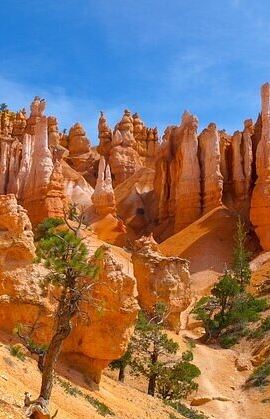 8D7N • Los Angeles Las Vegas National Parks 8-Day Tour