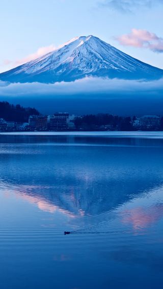 2日1晚 • 日本東京出發，富士山愜意遊 
