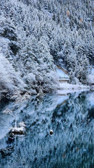 8D7N • Autumn color tour with Hilton or equivalent hotel stay - Jiuzhaigou + Huanglong + panda + Sanxingdui + Dujiangyan + Leshan Giant Buddha + Mt Emei · adjustable itinerary