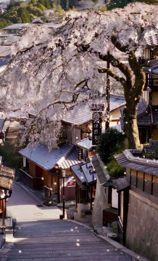 3D2N • Japan + Osaka + Kyoto + Nara City