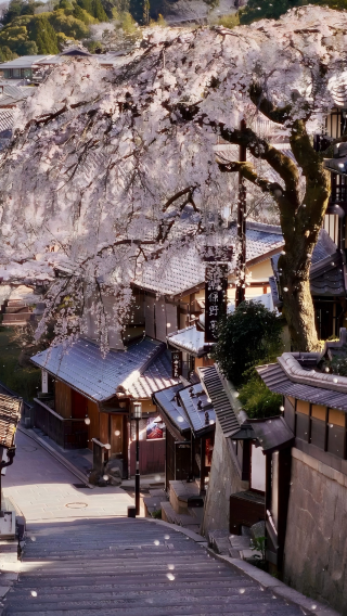 3D2N • Japan + Osaka + Kyoto + Nara City