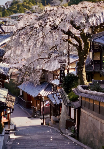 3D2N • Japan + Osaka + Kyoto + Nara City