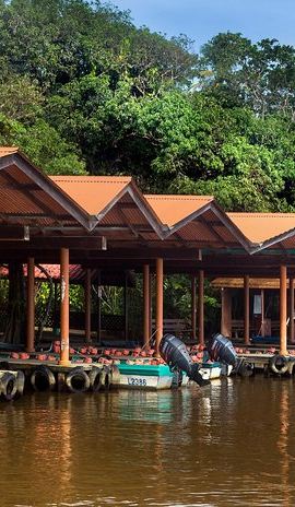 2D1N • 1 Night in Tortuguero + Tour to the Tortuguero National Park