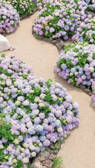 6D5N • A great travel destination: Jeju Island + South Korea