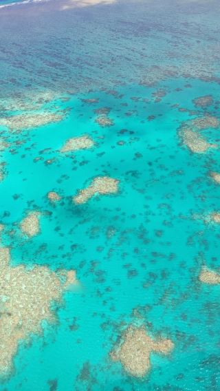3D2N • Cairns + Great Barrier Reef + Rainforestation Nature Park