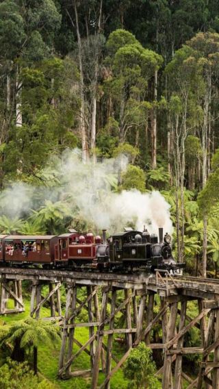 5D4N • Melbourne + Puffing Billy Railway + Phillip Island + Great Ocean Road | 11-Person Luxury Small Group Tour