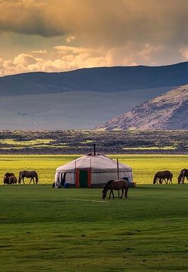 7D6N • 7-Days Central Mongolia Tour and Ancient city in Kharkhorin
