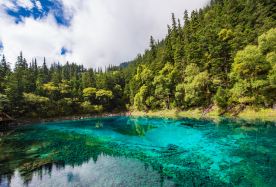 3D2N · Group Tours · Jiuzhaigou + Huanglong National Scenic Area, comfortable business bus transportation, select 2 nights at 5-star hotels, Small exclusive group of 20 people · Round-trip train travel to Jiuzhaigou, comfortable business bus transportation, select 2 nights at 5-star hotels, complimentary afternoon tea, travel photography, and Tibetan home-style hot pot