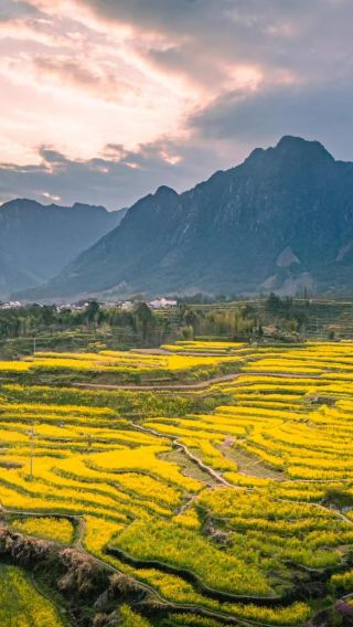 4D3N • Roam Wuyuan hamlets, Sanqingshan cloud ridges and Jingdezhen porcelain land.