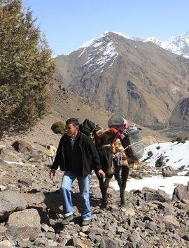 3D2N • Shared Group 3 Day Mount Toubkal from Marrakech