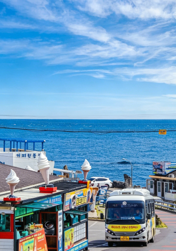 8D7N • 8-Day South Korea In-Depth Discovery Tour: Everland + Lotte World Tower + Teddy Bear Museum + Nami Island + Jeju Haenyeo Experience 