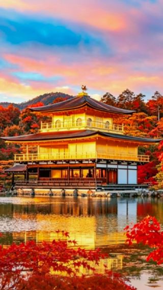 5日4晚 • 「京都紅葉絕景」日本大阪＋京都貴船神社＋伊根的舟屋＋琵琶湖＋天橋立 伊根的舟屋「海上遊船餵海鷗」天橋立搭纜車