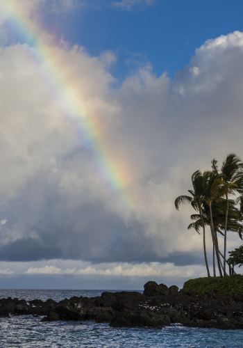 10D9N • Oahu + Hawaii island