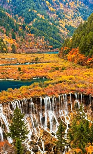 10D9N • Round Trip from Chengdu · Legendary Sichuan-Chongqing Journey: Vibrant Chengdu & Chongqing City Tours, Giant Pandas, Jiuzhaigou and Huanglong