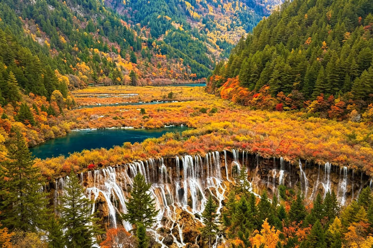 image_grid_main