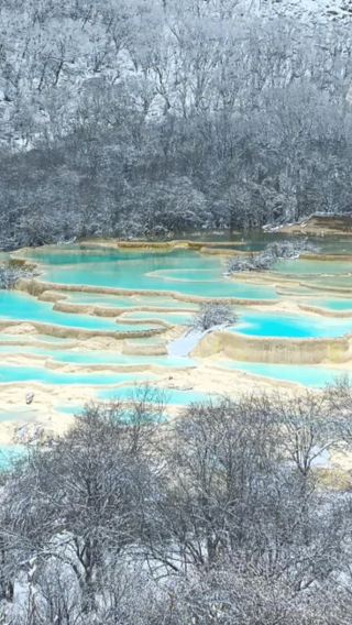 5天4晚 • 8人小團・滿6人即可獨立出發丨持證導遊帶你暢遊熊貓基地・九寨溝・都江堰・三星堆丨高原反應友善選擇・東進西出沉浸式走熊貓大道丨下單贈成都火鍋