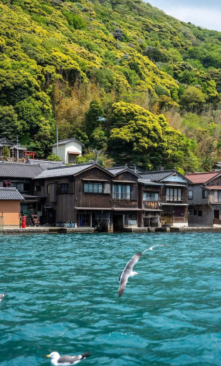 3D2N • Japan + Osaka + Kyoto + Nara City